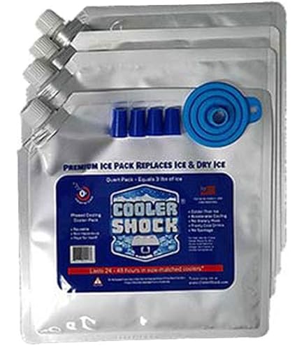 Amazon | クーラーショック COOLER SHOCK 保冷剤 Lサイズ 2個セット